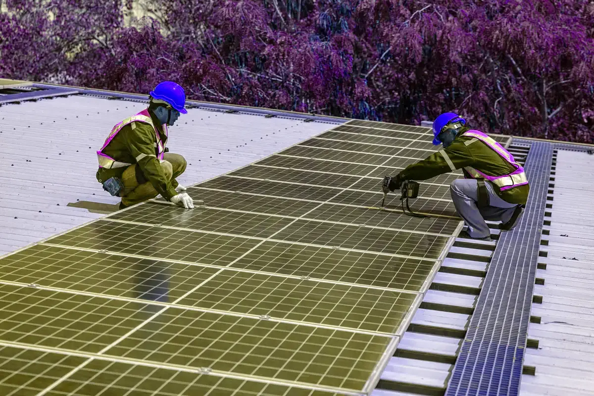 Instalación fotovoltaica en revisión con luz de atardecer sobre los paneles en Jaén
